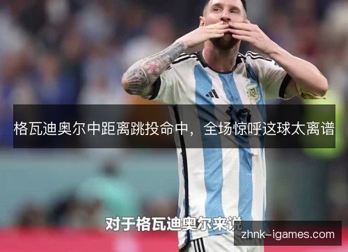格瓦迪奥尔中距离跳投命中，全场惊呼这球太离谱